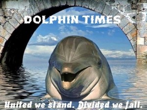 dolphin_times_logo